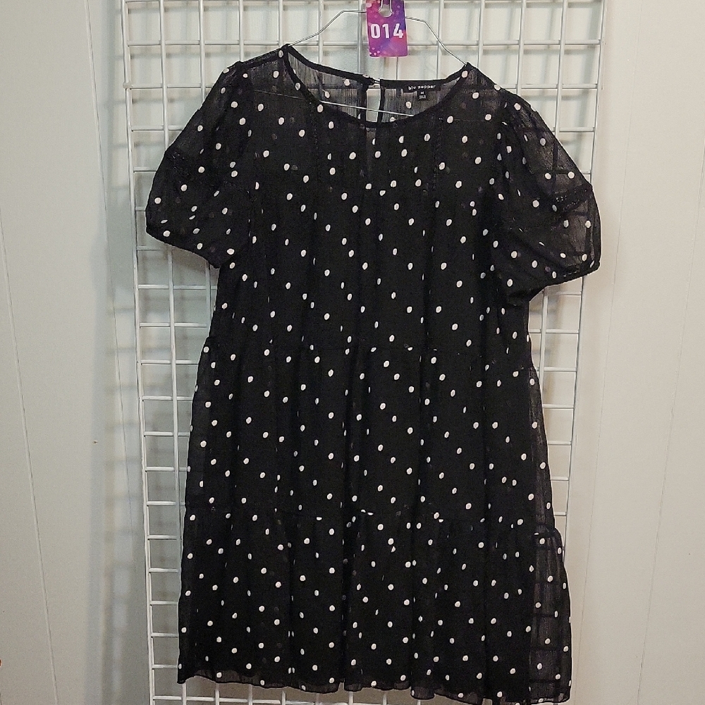 Blu Pepper Black Sheer Top (14)